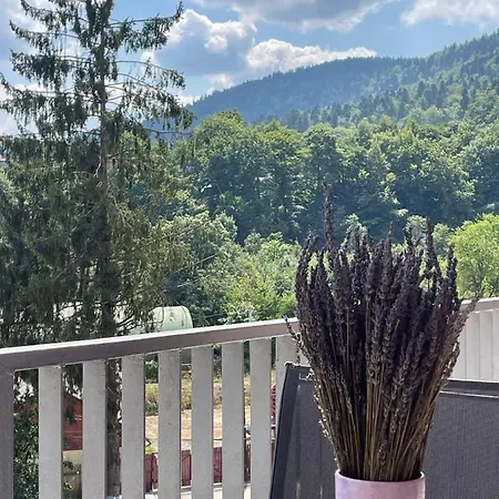 Silver Apartment Sinaia